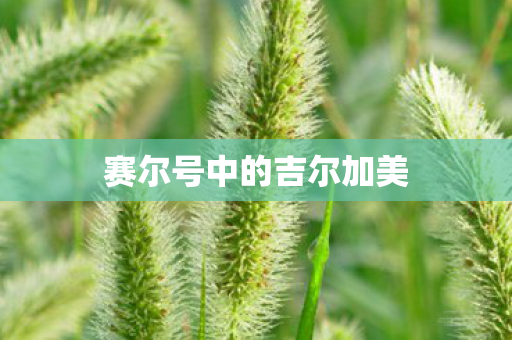 赛尔号中的吉尔加美图片