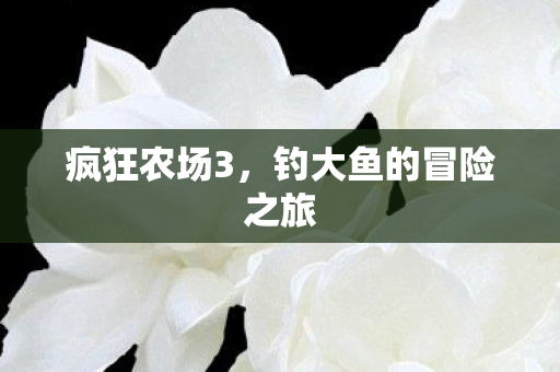 钓大鱼的冒险之旅图片