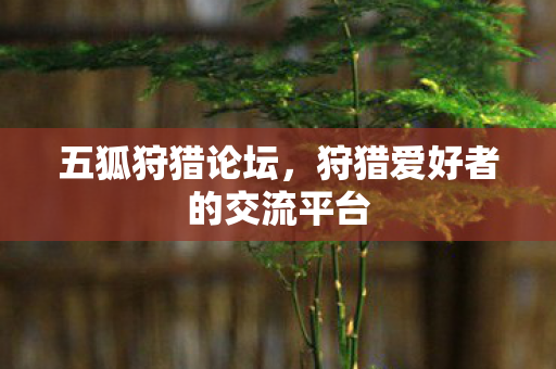 狩猎爱好者的交流平台图片