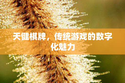 传统游戏的数字化魅力图片
