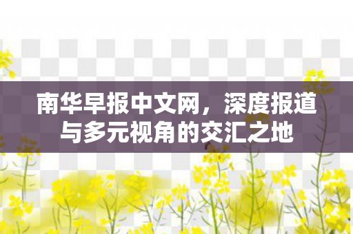 深度报道与多元视角的交汇之地图片