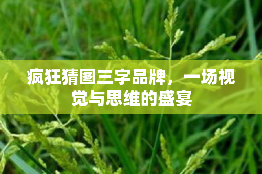 一场视觉与思维的盛宴图片
