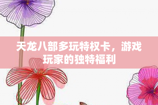 天龙八部多玩特权卡图片