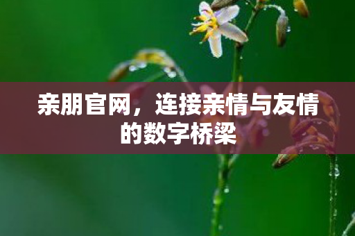 连接亲情与友情的数字桥梁图片