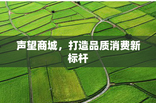 打造品质消费新标杆图片