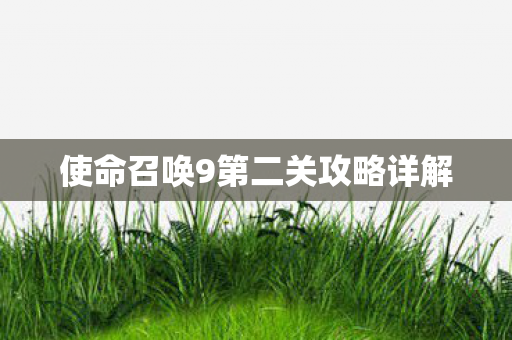 使命召唤9第二关攻略详解图片