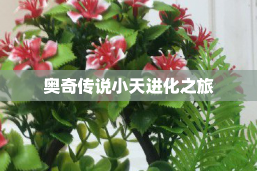 奥奇传说小天进化之旅图片