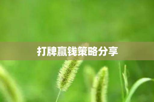 打牌赢钱策略分享图片