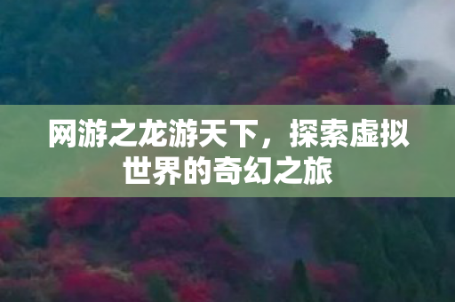 探索虚拟世界的奇幻之旅图片