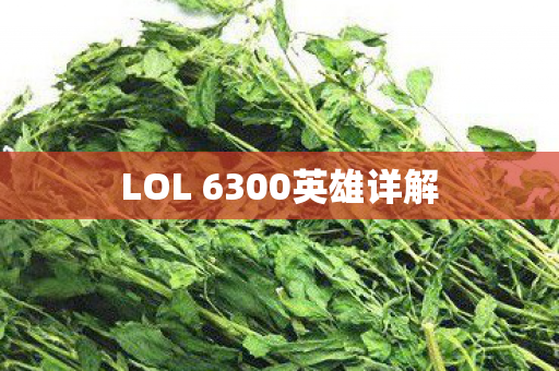 LOL 6300英雄详解图片