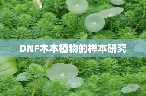 DNF木本植物的样本研究图片