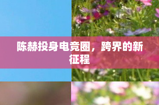 陈赫投身电竞圈图片
