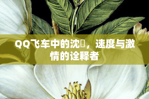 速度与激情的诠释者图片