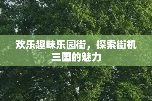 探索街机三国的魅力图片
