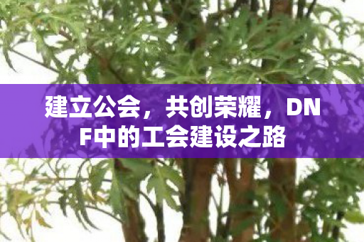 DNF中的工会建设之路图片