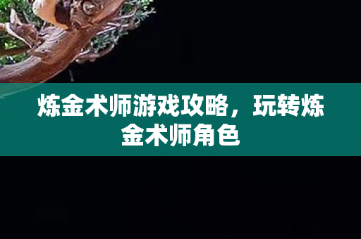炼金术师游戏攻略图片