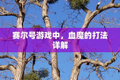 血魔的打法详解图片