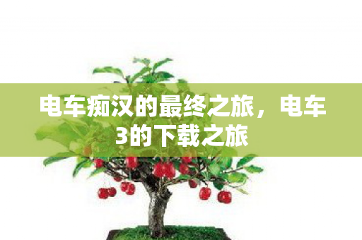 电车痴汉的最终之旅图片