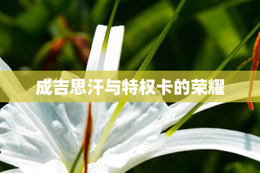 成吉思汗与特权卡的荣耀图片