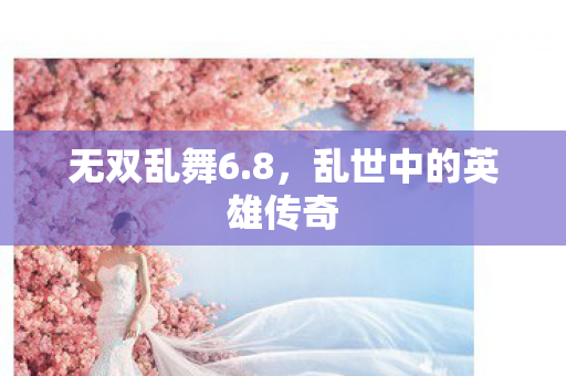 乱世中的英雄传奇图片