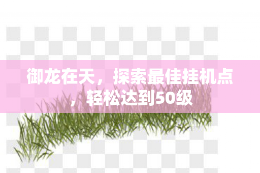 探索最佳挂机点图片