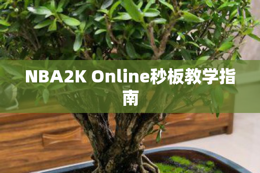 NBA2K Online秒板教学指南图片