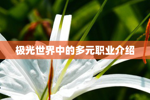 极光世界中的多元职业介绍图片