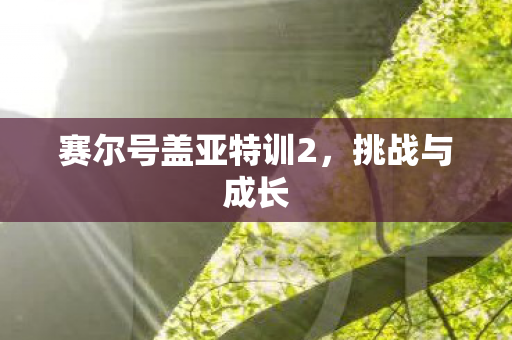 赛尔号盖亚特训2图片