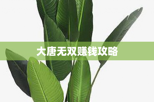 大唐无双赚钱攻略图片