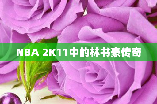 NBA 2K11中的林书豪传奇图片