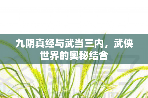 九阴真经与武当三内图片