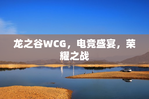龙之谷WCG图片