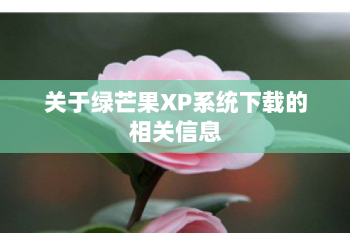 关于绿芒果XP系统下载的相关信息图片