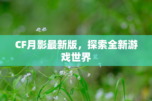 探索全新游戏世界图片
