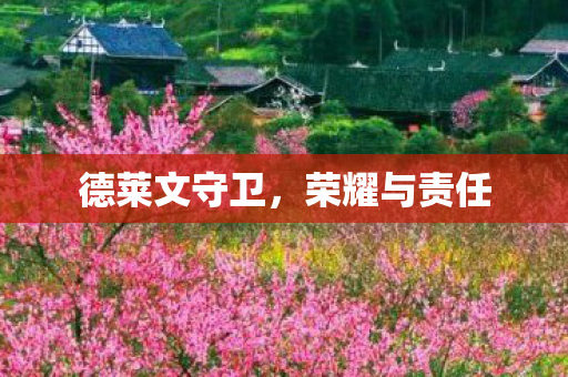 德莱文守卫图片