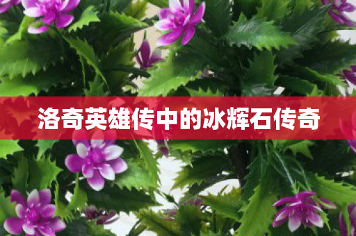 洛奇英雄传中的冰辉石传奇图片