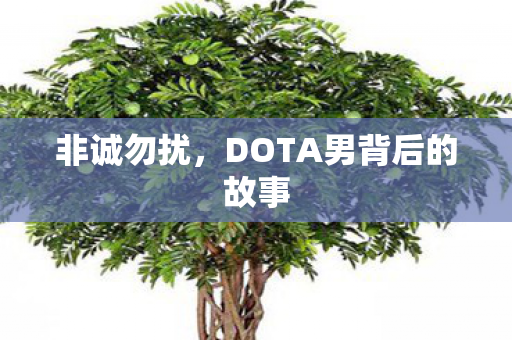 DOTA男背后的故事图片