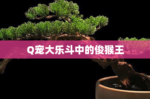 Q宠大乐斗中的俊猴王图片