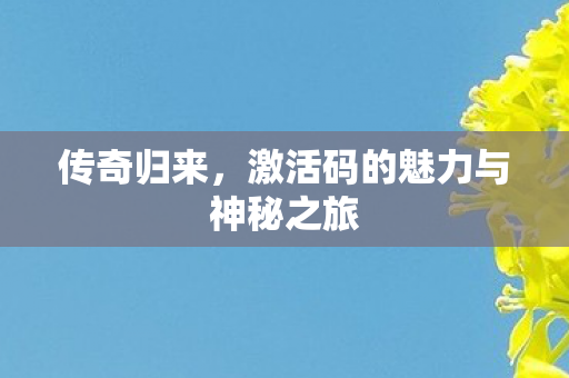 激活码的魅力与神秘之旅图片