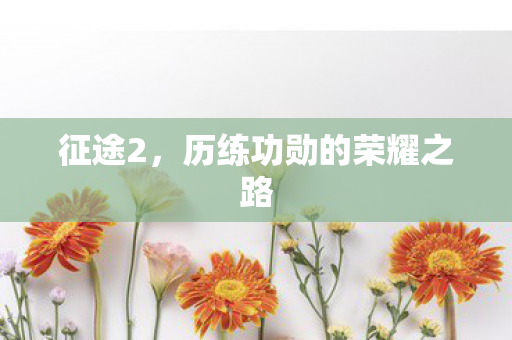 历练功勋的荣耀之路图片