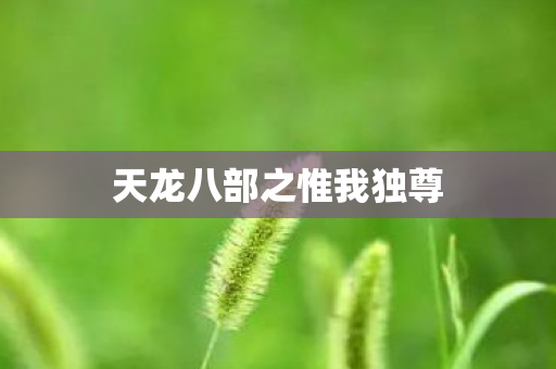 天龙八部之惟我独尊图片