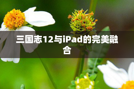 三国志12与iPad的完美融合图片