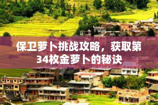 获取第34枚金萝卜的秘诀图片