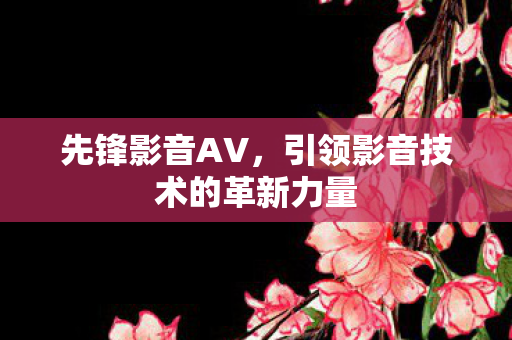 引领影音技术的革新力量图片