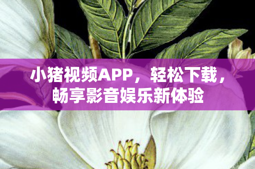 畅享影音娱乐新体验图片