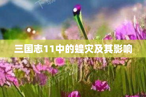 三国志11中的蝗灾及其影响图片