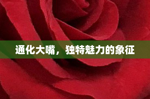 独特魅力的象征图片
