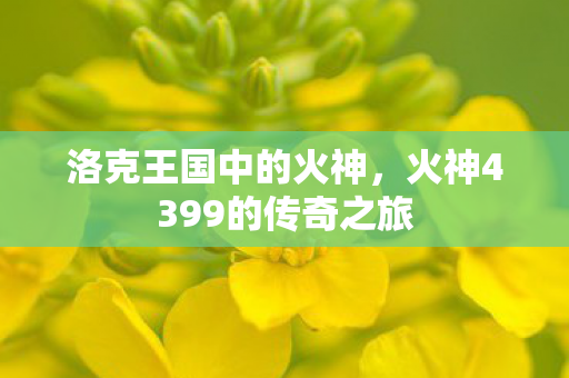 火神4399的传奇之旅图片