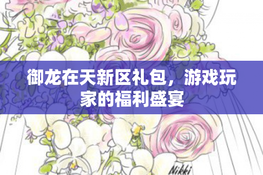 游戏玩家的福利盛宴图片
