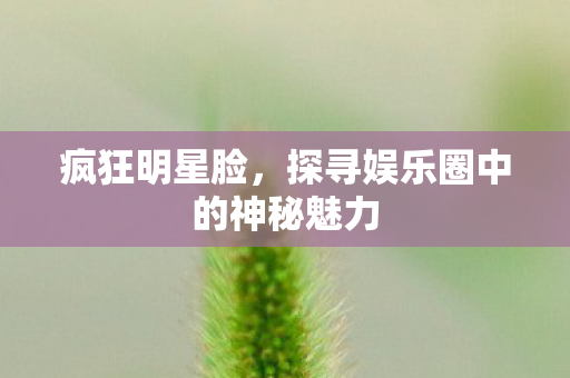 探寻娱乐圈中的神秘魅力图片
